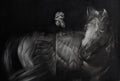Doula in the Times of Extinction