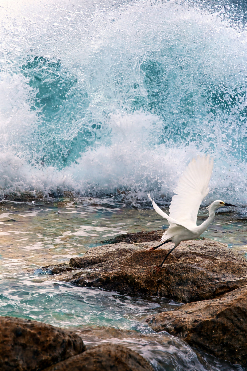 Choosing to Rise